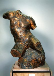 Männlicher Torso