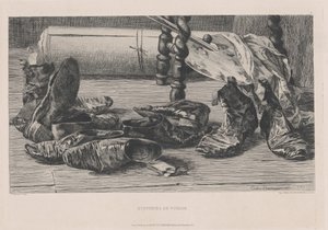 Reiseerinnerungen von Jules Ferdinand Jacquemart