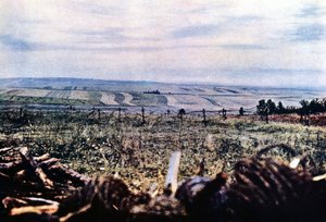 Hügel 304 mit Stacheldraht in der Nähe von Verdun, September 1916