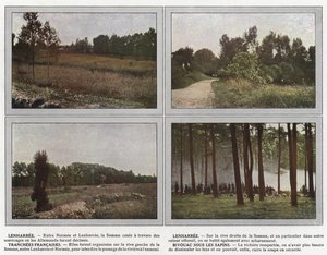 Lenharree, Lenharree, französische Schützengräben, Biwak unter den Tannen von Jules Gervais Courtellemont