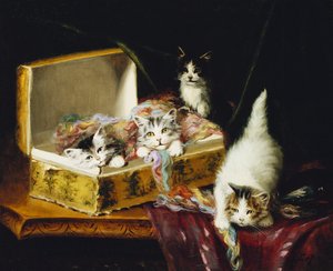 In der Nadelbox