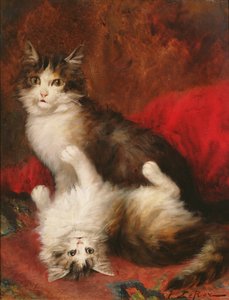 Kitzle meine Fantasie