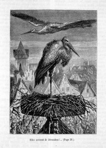 Störche auf einem Dach - in „Der Freund Fritz“ von Erckmann-Chatrian, ill. von Théophile Schuler von Jules Theophile (after) Schuler