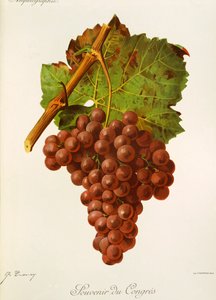 Souvenir du Congres-Traube von Jules Troncy