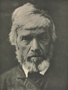 Carlyle von Julia Margaret Cameron