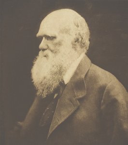 Charles Darwin, 1868, gedruckt ca. 1893