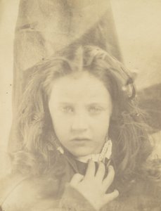 Gänseblümchen von Julia Margaret Cameron