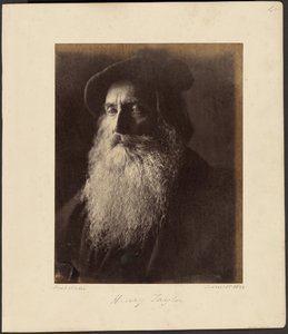 Henry Taylor von Julia Margaret Cameron