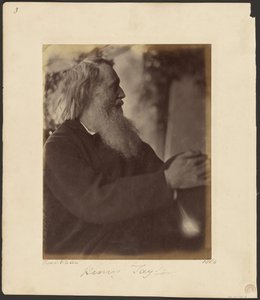 Henry Taylor von Julia Margaret Cameron