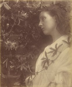 Maud "Es ist eine prächtige Träne vom Passionsblume am Tor gefallen" von Julia Margaret Cameron