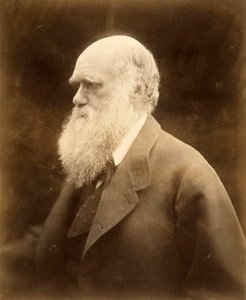 Porträt von Charles Darwin, 1868