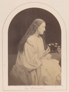 Die Widmung [Hattie Campbell]