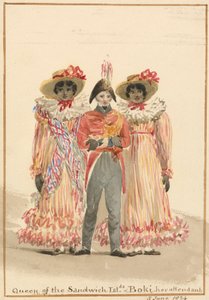 Eine Gruppe der Sandwichinseln von Julia Swinburne