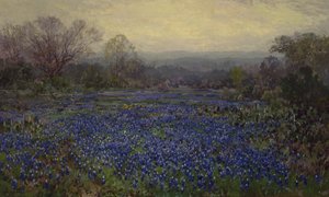 Ohne Titel - Feld von Bluebonnets von Julian Onderdonk