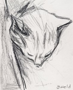 Schlafende Katze, 2015 von Julie Held