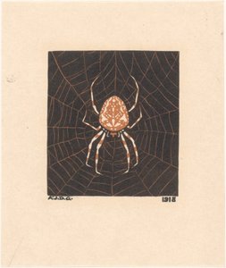Spinne in einem Netz von Julie de Graag