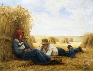 Erntezeit