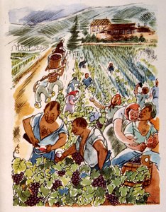 Französischer Weinberg 1944