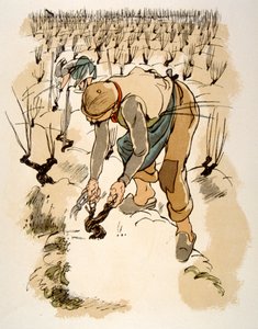 Humorvolle Weinillustration 1946