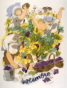 Humorvolle Weinillustration 1946. Illustration von Julien Pavil