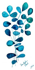 Blaue Eukalyptusblätter von Julija Belickienė