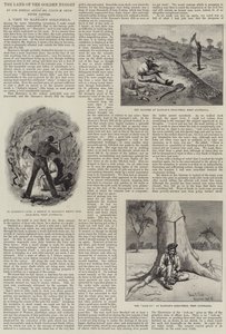 Das Land des Goldklumpens, ein Besuch auf dem Hannan-Goldfeld von Julius Mandes Price