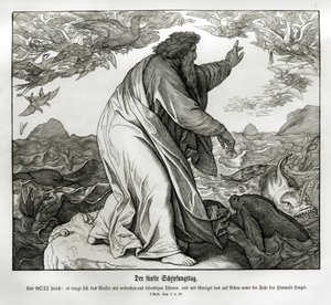 Fünfter Tag der Schöpfung, Genesis von Julius Schnorr von Carolsfeld