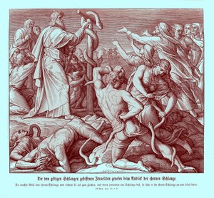 Mose und die eherne Schlange, Numeri