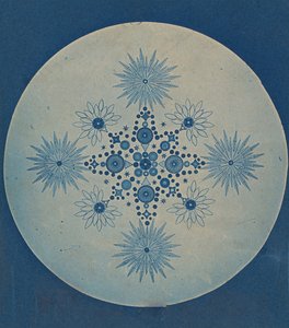 [Frusteln von Diatomeen], ca. 1870 von Julius Wiesner.