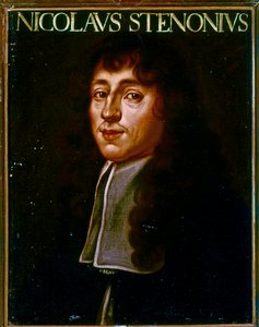 Porträt von Nicolas Steno von Justus Sustermans