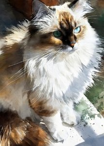 Strahlende Aquarellkatze