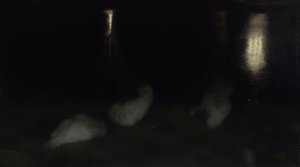 Nocturne. Schwäne im Sächsischen Garten in Warschau bei Nacht
