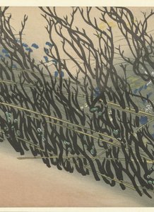 Hecke mit Herbstblumen von Kamisaka Sekka