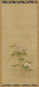 Hibiskus Teil eines Sets, Edo-Periode, Mitte 17. bis Anfang 18. Jahrhundert von Kanô Yôboku Tsunenobu