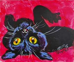 Neugierige schwarze Katze