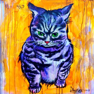 Grummelige lila Katze von Kanat Ibragimov