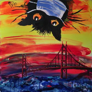 Maskierte Katze San Francisco Sonnenuntergang