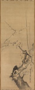 Spatzen auf blühendem Pflaumenbaum, 17. Jahrhundert von Kanō Tan’yū