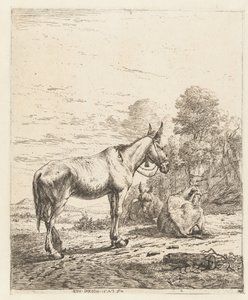 Maultier mit Glocke am Halfter und zwei liegende Esel von Karel Du Jardin