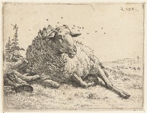 Schaf bei einem Baumstamm
