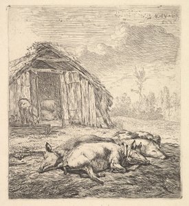 Drei Schweine, die auf der Seite liegen, 1652 von Karel Du Jardin