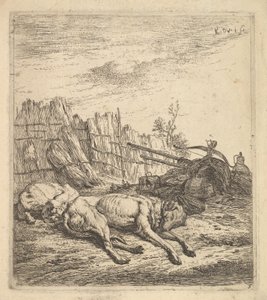 Zwei Hunde schlafen auf dem Boden, ein Pflug, landwirtschaftliche Geräte, Strohbündel, ca. 1641-78 von Karel Du Jardin