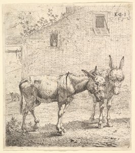 Zwei Esel, die in einem grasbewachsenen Hof stehen, einer im Profil nach rechts und ein anderer dahinter (1652) von Karel Du Jardin