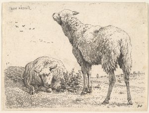 Zwei Schafe, eines frontal in liegender Position mit untergeschlagenen Beinen..., ca. 1655