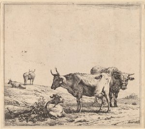 Kuh, Stier und Kalb
