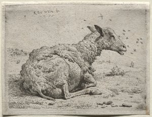 Das Schaf und die Fliegen