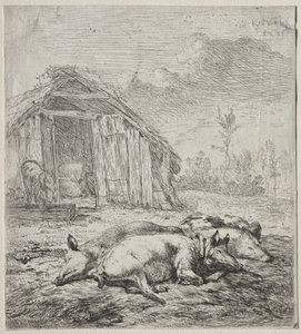 Drei Schweine vor einem Stall liegend von Karel Dujardin