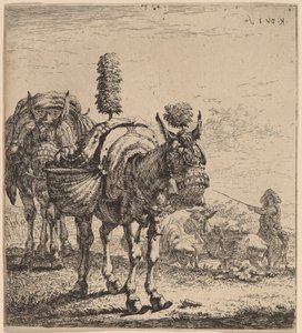 Zwei Maultiere von Karel Dujardin
