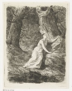 Olwene streift durch den Wald. Aeddon