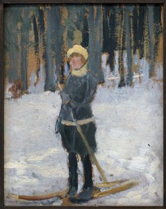 Frau beim Skifahren im Wald von Karel Spillar